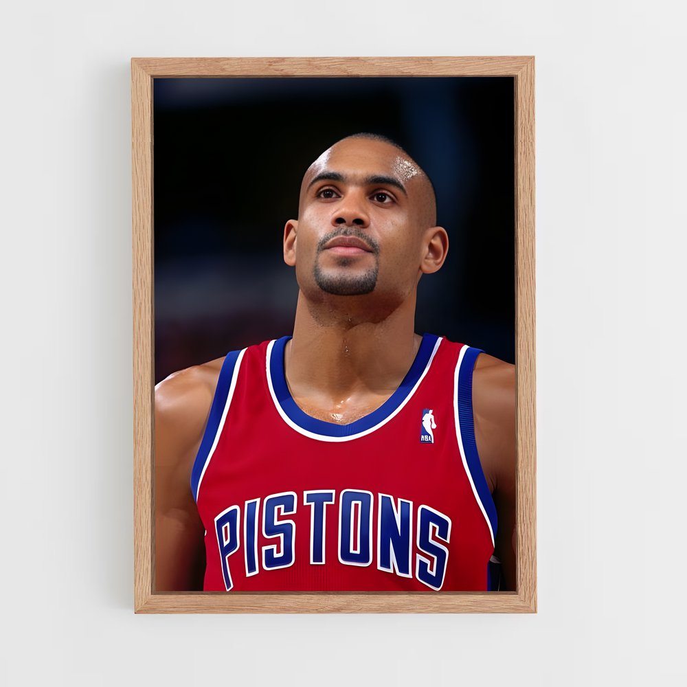 Poster Grant Hill Basketball (vue 4)